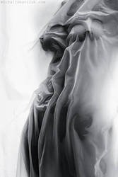 ���������� � ������������, ���� ��������� �������, ���������� ����� ���������������, ������� ������� ���������