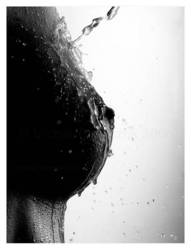 ���������� � ����, ���������� �����, ��� ����� ����, �������� ����� ���������