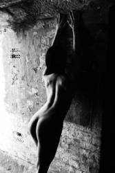 ������� ����� ����������, ���������� d