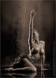 �������� ����� ���������