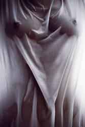 ���������� ���� ���� ���������