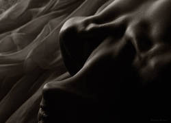 ���������� ��������, ������ ����������, ���������� ���� ���������, ���� ��������� ��� �����