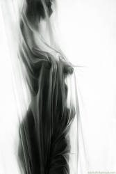 ���������� � ������������ ����, ���� ��������� e mail, ���������� ����������