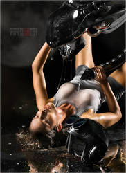 ���������� � ����������